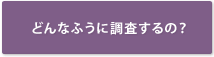 どんなふうに調査するの？